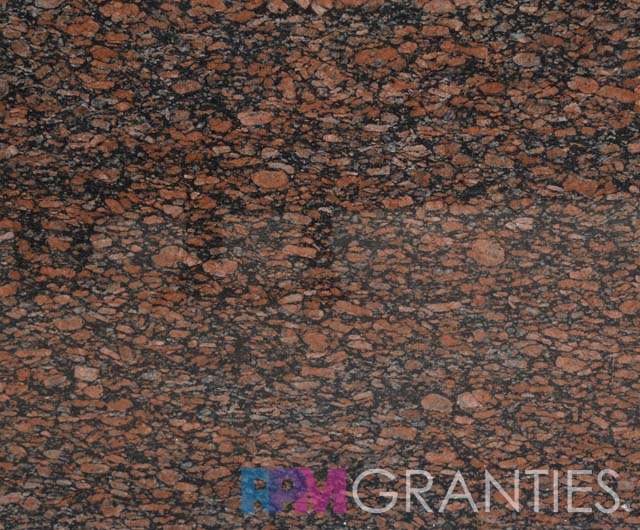 Bengal Brown